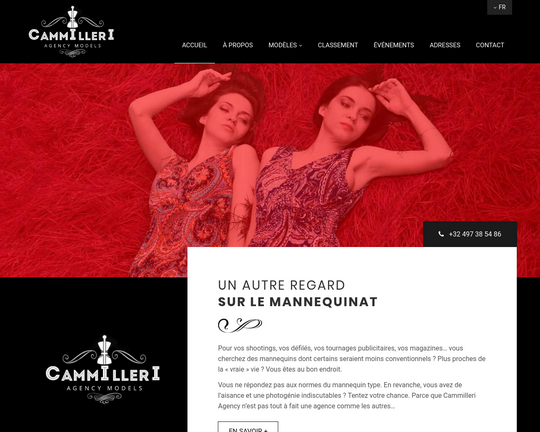 Cammilleri Agency Logo